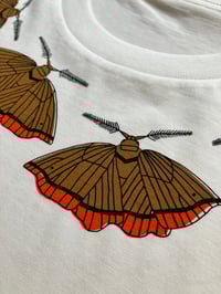 Image 3 of Dark Bordered Beauty Moth T-Shirt