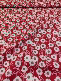 Image 1 of SAN MARINO COTONE
