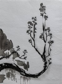 Image 1 of Prunier – Encre de Chine sur papier