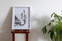 Image 2 of Prunier – Encre de Chine sur papier