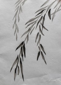 Image 1 of Saule – Encre de Chine sur papier