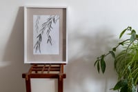 Image 2 of Saule – Encre de Chine sur papier