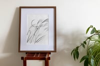 Image 2 of Miscanthes – Encre de Chine sur papier