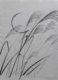 Image 1 of Miscanthes – Encre de Chine sur papier
