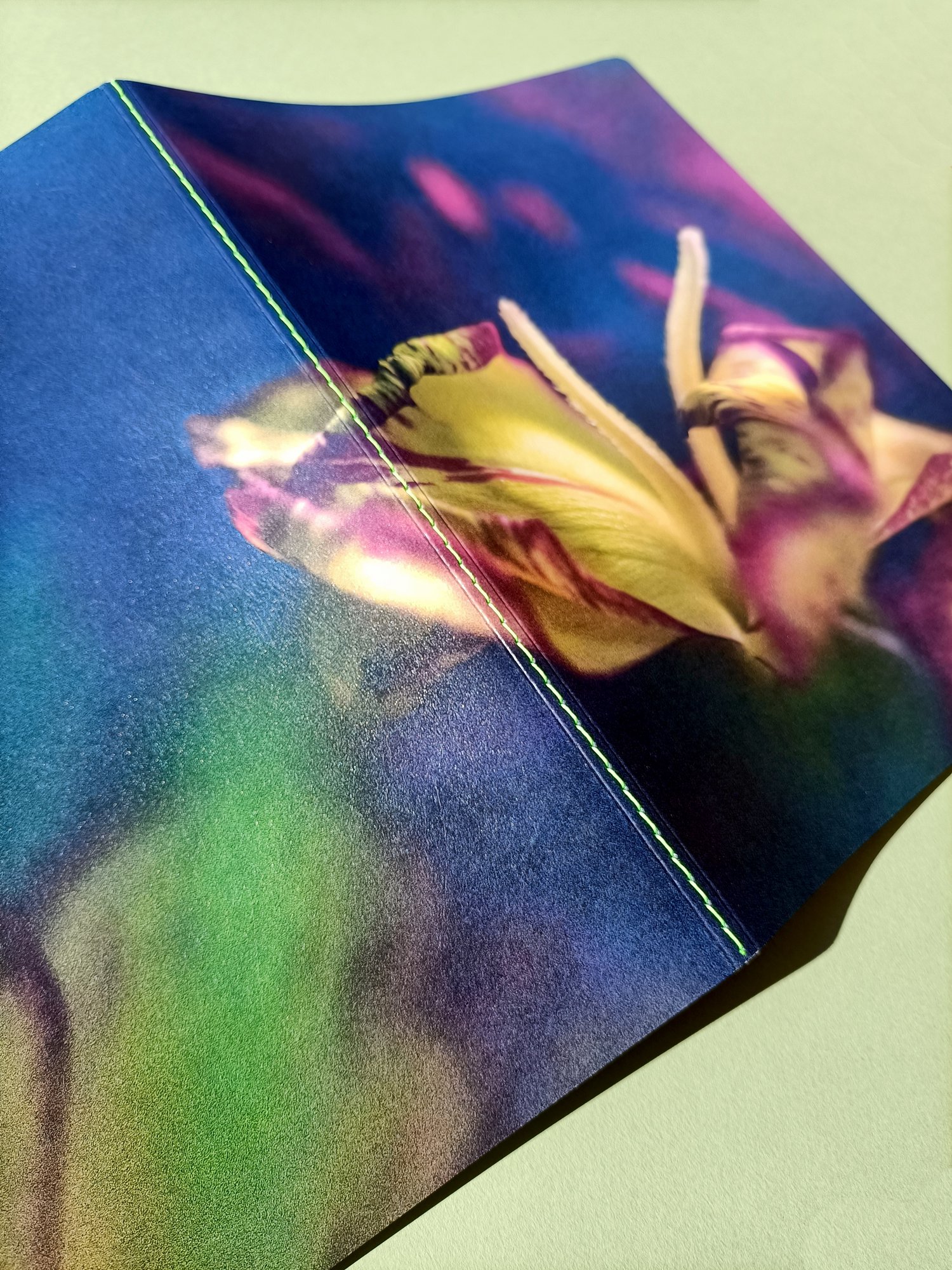 Image of Lilium en Suspensión