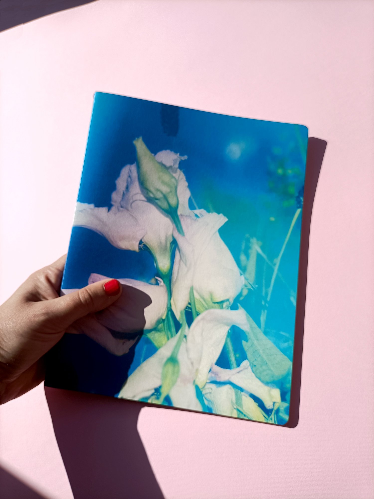 Image of Lisianthus en Suspensión