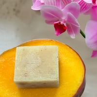 Image 2 of MANGO PU GAZZ
