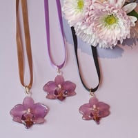Image 1 of Orquídeas lilas 🌸