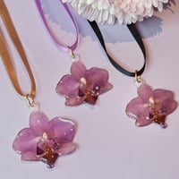 Image 2 of Orquídeas lilas 🌸