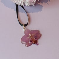Image 5 of Orquídeas lilas 🌸