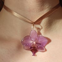 Image 3 of Orquídeas lilas 🌸