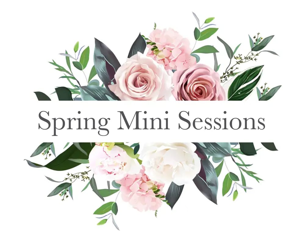 Image of SPRING MINI SESSIONS