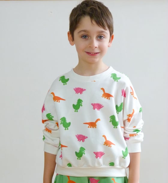 Image of Sudadera 'Dinosaurios'