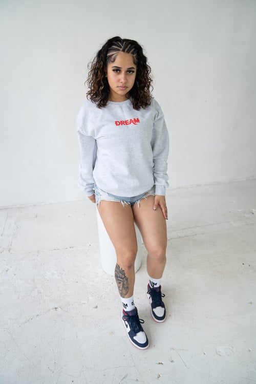 Image of Grey Astro Sweatshirt 