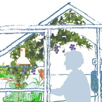 Image of Autumn greenhouse