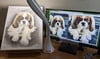 Personal Pet portrait 1