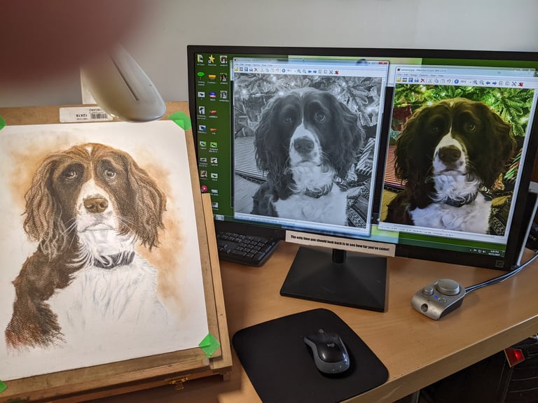 Personal Pet Portrait 2