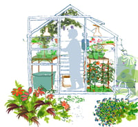 Image of Autumn greenhouse