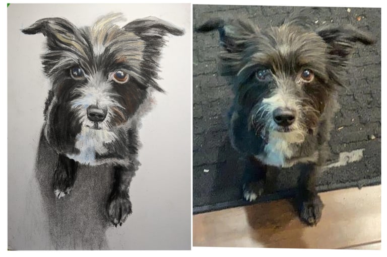 Personal Pet Portrait 4