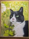 Personal Pet Portrait 9