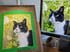 Personal Pet Portrait 9 Image 2