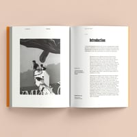 Image 5 of Book + 1 Lithograph of your choice Ed. of 80