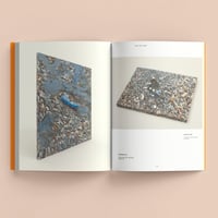 Image 7 of Book + 1 Lithograph of your choice Ed. of 80