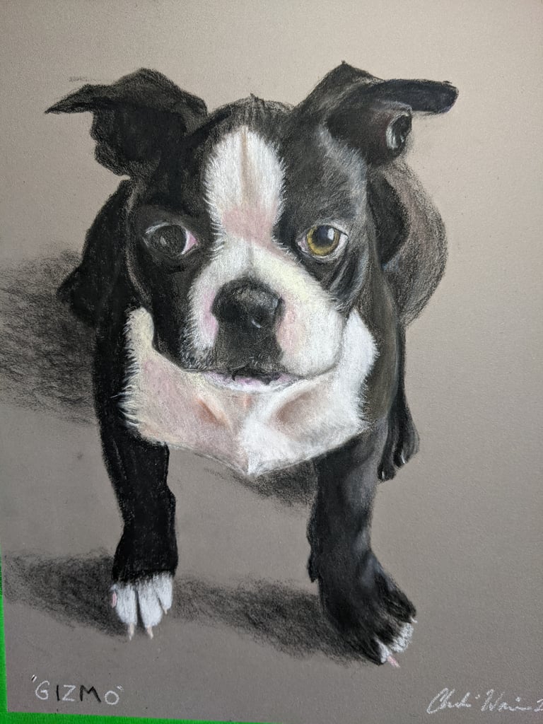 Personal Pet Portrait 10