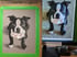 Personal Pet Portrait 10 Image 2