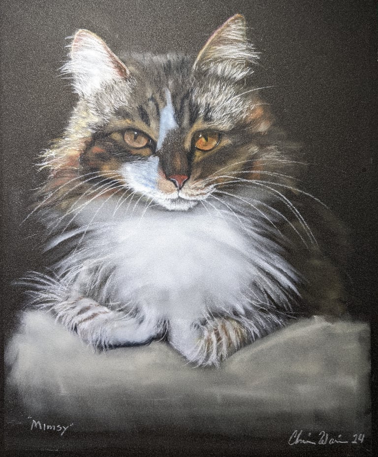 Personal Pet Portrait 11