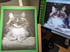 Personal Pet Portrait 11 Image 2