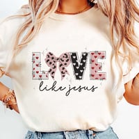 Image 3 of Love Like Jesus
