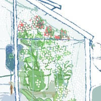 Image of Winter greenhouse