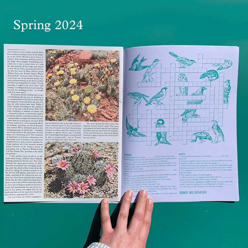 Floral Observer 2024