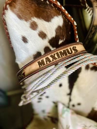 Image 1 of Adult name belts