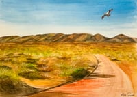 Image 1 of Osprey