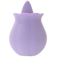 Image 2 of Clit-Tastic Erotic Clit Licker Vibe