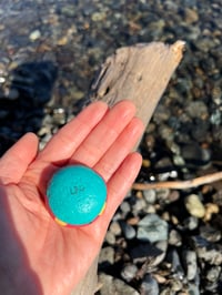 Image 3 of Speckles Ladybug Rock 🐞❤
