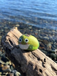 Image 1 of Boingy the Frog Rock 🐸💚
