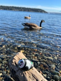 Image 2 of Pudding the Panda Rock 🐼💛