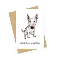 Image 1 of Dog Years Birthday Card