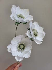 Image 3 of Japanese Anemone Tutorial