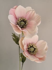 Image 4 of Japanese Anemone Tutorial