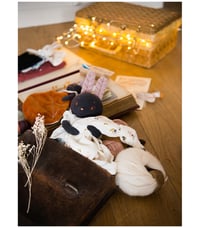 Image 7 of Après la Pluie soft doll