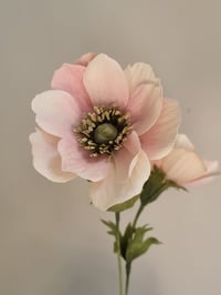 Image 5 of Japanese Anemone Tutorial