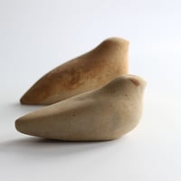 Image 1 of Rakish Bird