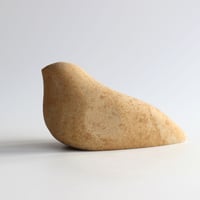 Image 4 of Rakish Bird