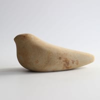 Image 2 of Rakish Bird
