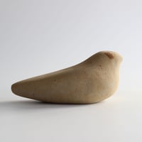 Image 3 of Rakish Bird