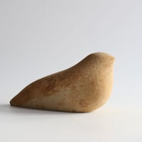 Image 5 of Rakish Bird